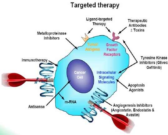 Principles of Cancer Management I 