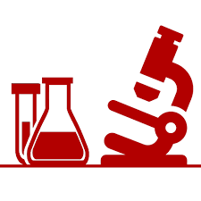 lab